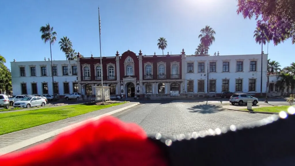 Cuidado de mascotas universitarias crece con apoyo de trabajadores