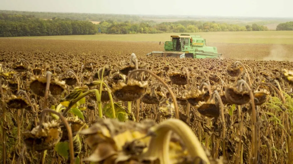 Sindicato agrícola alerta por sequía en Ucrania